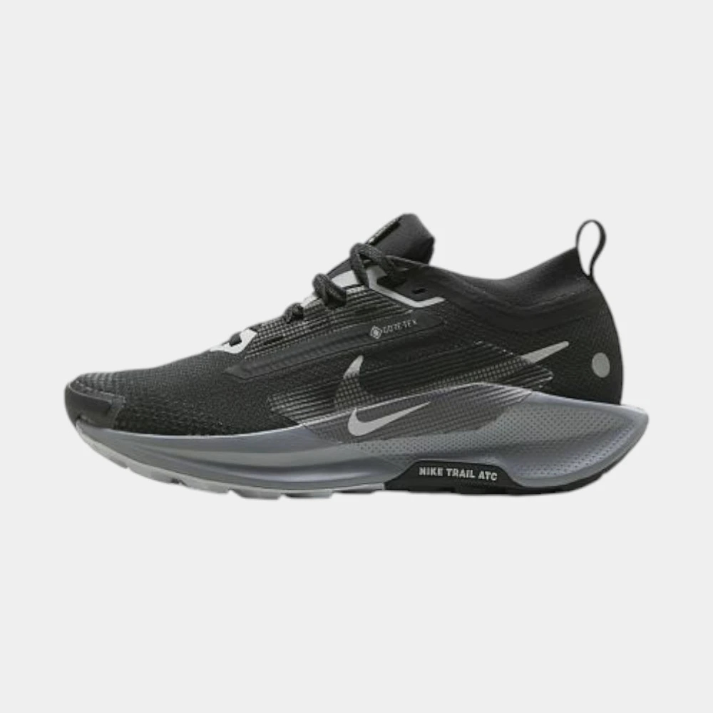 кроссовки pegasus trail 5 gtx