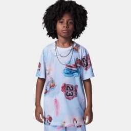 футболка jordan flamingo aop ss