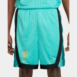 шорты lj lfc m nk df dna 8in short