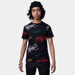 футболка jdb jm painted flight aop ss t