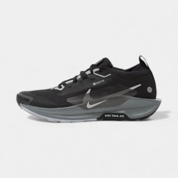 nike pegasus trail 5 gtx