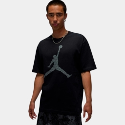 футболка m j brk mg fill ss crew