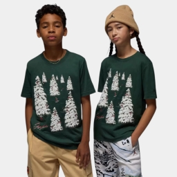 футболка jdn winter land