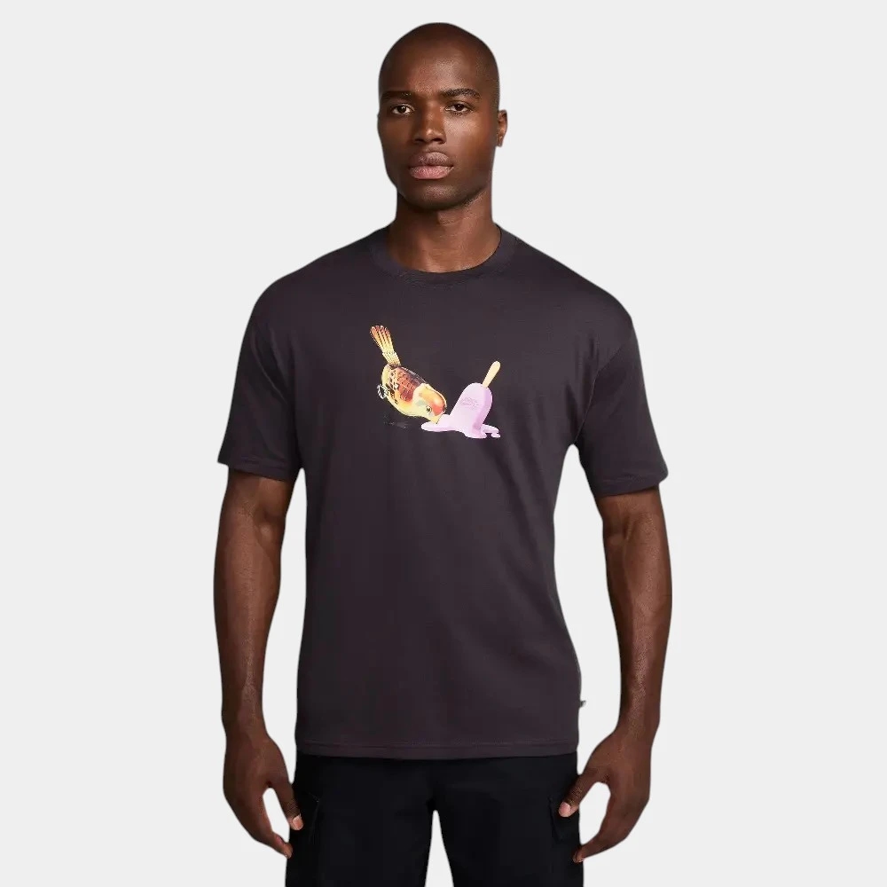 футболка sb tee m90 oc ice cream