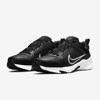 Изображение NIKE DEFYALLDAY