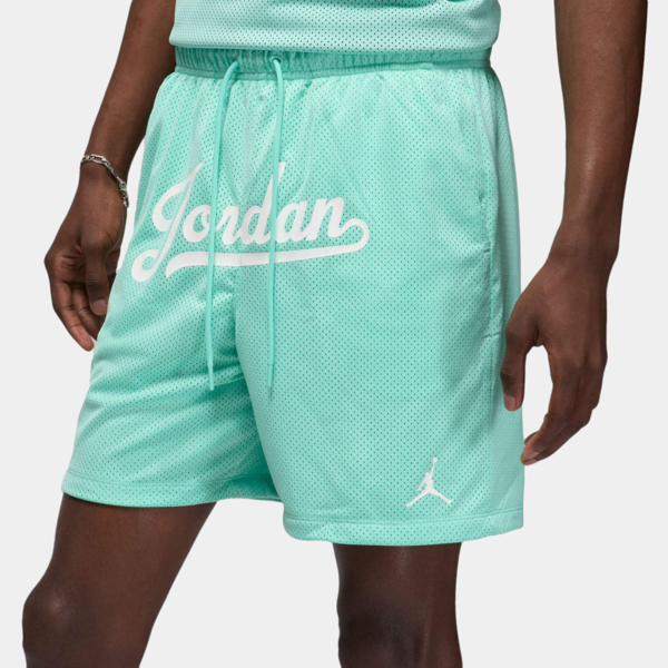 Изображение ШОРТЫ M J FLT MVP STMT MESH SHORT