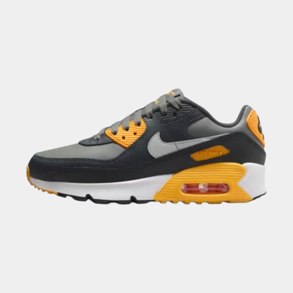 Изображение AIR MAX 90 (GS)